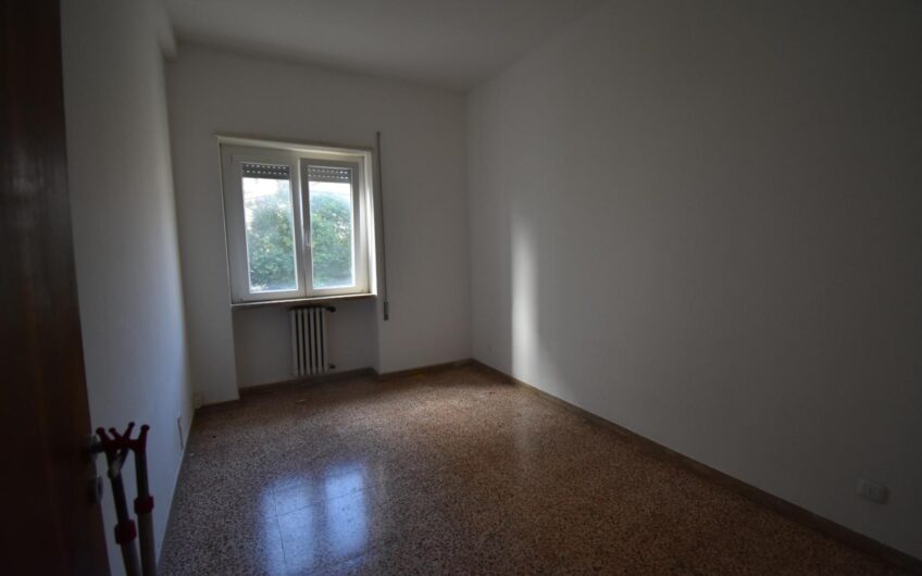 Grosseto – Via Adige Affittato