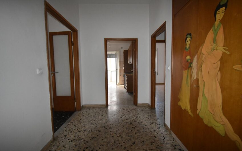 Grosseto – Via Adige Affittato