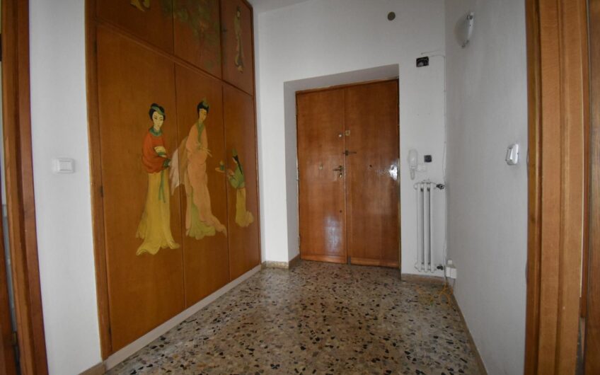 Grosseto – Via Adige Affittato